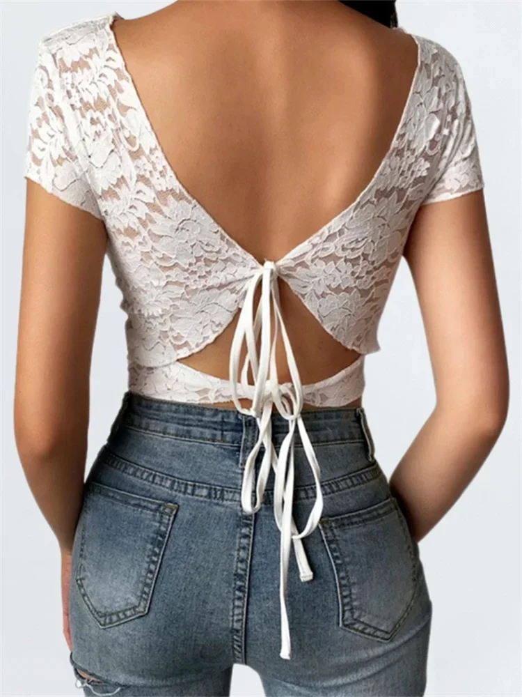 kf-Sc7831d7069ef4d4a8bc7a6c15dc5b996a